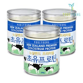 뉴질랜드 초유 프로틴 단백질 분말 280g+280g+280g 단백질보충제