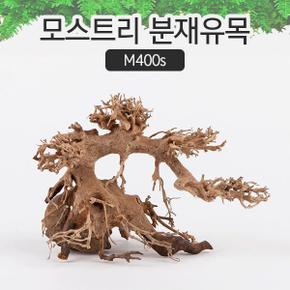 모스트리 분재유목 모스 활착 수족관 레이아웃 수조 M400s