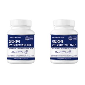 콘드로이친 60정 2개 철갑 상어연골 콘드로친 c6s 뮤코다당 단백 난각