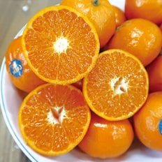 농부마음 수입 미국산 만다린 귤 3kg 50과 내외