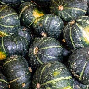 [오늘신선] 갓 수확한! 국내산 단호박 5kg(4-7과내외)