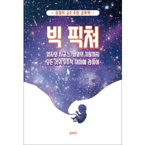 빅 픽쳐 - 양자와 시공간 생명의 기원까지 모든 것의 우주적 의미에 관하여