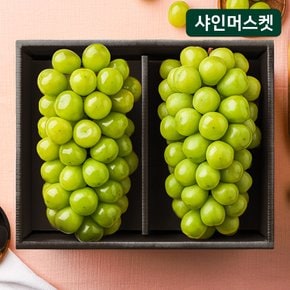 달콤아삭 아삭달콤 고당도 샤인머스켓 2입 (1.3kg 내외)