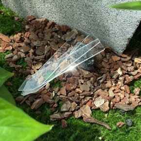 식물 꽃 화분 투명 아크릴 이름표 네임택 라벨 네임픽 팻말 식물픽 화분픽 원예 가드닝 용품