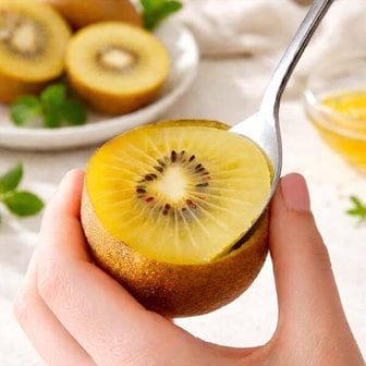 감동 보성 골드키위 2kg 특대과 21-22과