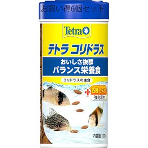 Tetra 테트라코리도라스 120g 6병 세트