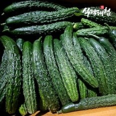 식탐대첩 국내산 못난이 가시오이 1kg