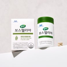 [본사직영] 셀렉스 보스웰리아 1박스 (400mg X 60정)