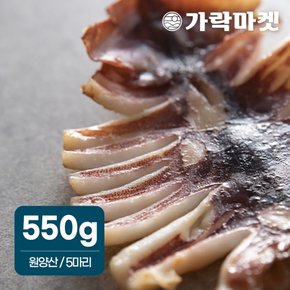 [가락마켓]원양산 반건조 오징어 550g 내외 피데기