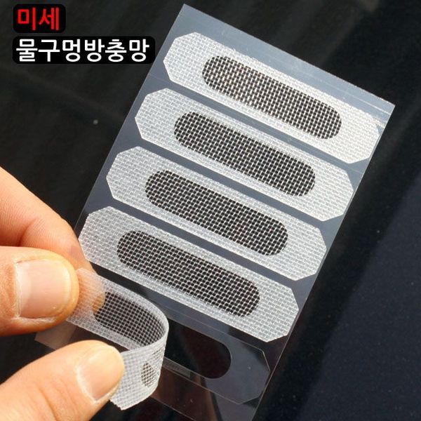 확대된 대표 이미지1