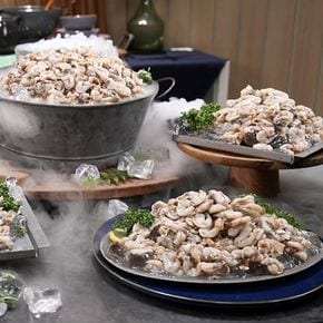 자연산 손질새조개 12팩[35126425]