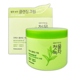 IS-SA 첫물녹차 프레시 클렌징 크림 300g (WD51CAE)