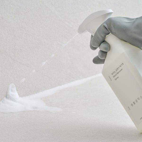 뿌리는 곰팡이 제거제 (스프레이) 750ml x 3개 (화장실 욕실 주방 곰팡이 제거)