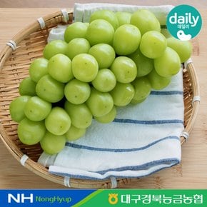 [경북능금농협] 포도의 고장 영천 샤인머스켓 1.5kg 2-3수