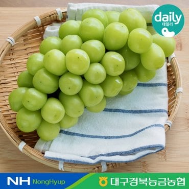 대구경북능금농협 [경북능금농협] 포도의 고장 영천 샤인머스켓 1.5kg 2-3수