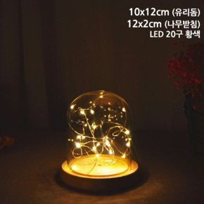 LED 원목받침 타원유리돔 용기 20호 10개