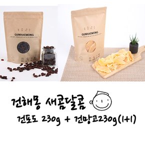 [1+1구성] 건해몽 새콤달콤 건포도230g+건망고230g(1+1)