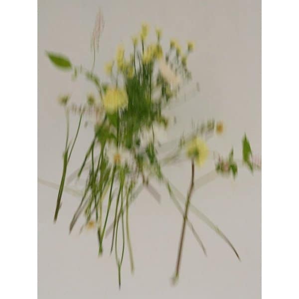 차량용 퍼퓸 샤쉐 방향제