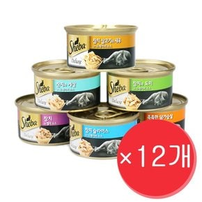 어덜트 시니어 고양이 주식 습식캔 85g x 12개 세트