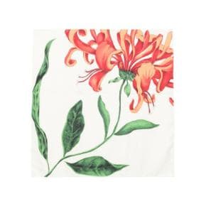 Honeysuckle 스카프 머플러 244WSC0077FB0319247