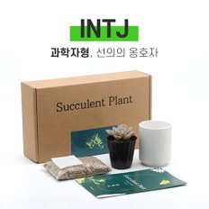 나만의 MBTI 미니 다육이 키우기 키트 INTJ