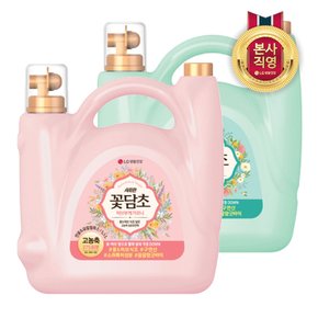 샤프란 꽃담초 부케가르니 용기5.5L x 2개 (2종 택 1)