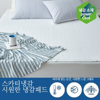 레노마홈 스카티냉감 시원한 듀라론 냉감패드 Q [정상가 250,000]