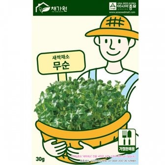 아시아종묘 무순씨앗종자 무순이(30g)