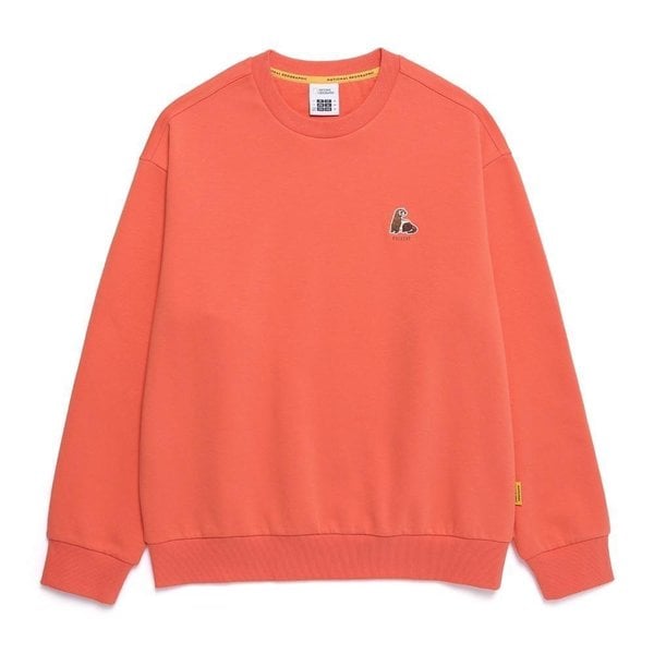 [여주점] N251USW040 동물 와펜 세미 오버핏 맨투맨 ORANGE