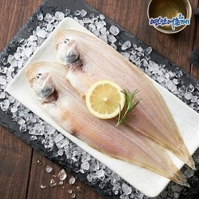 반건조 군산 박대(서대) 특대 5마리(35-37cm/개별포장)