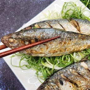 [7월 20일 순차출고] [춘백이어부장터] 삼천포 자연산 구이용 전어 500g (4~5미 내외)