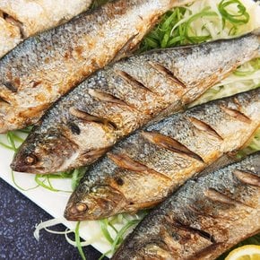[7월 20일 순차출고] [춘백이어부장터] 삼천포 자연산 구이용 전어 500g (4~5미 내외)