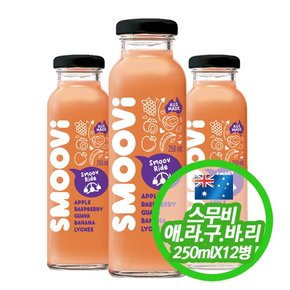 스무비 애플 바나나 구아바 라즈베리 리치 주스 smoovi 250mlX12병