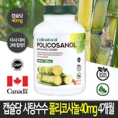 쿠바사탕수수 폴리코사놀 40mg 120캡슐 4개월분 캐나다 생산  쿠바산폴리코사놀 본사직발송