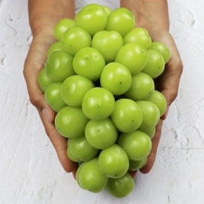 국내산 샤인머스켓 망고포도 상품 1kg