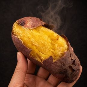 2026년산 해남 호박고구마 10kg 중상 (60-120g) 달콤 촉촉 산지직송 YG..[36185662]