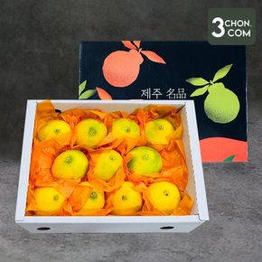 달콤함이 입안 가득 퍼지는 명품제주 프리미엄 황금향 선물세트 1.5kg 소과