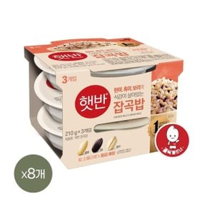 햇반 잡곡밥 210g x24개