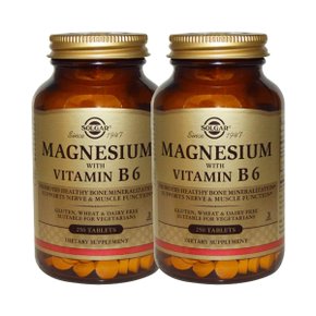 마그네슘 위드 비타민B6 250정 x2