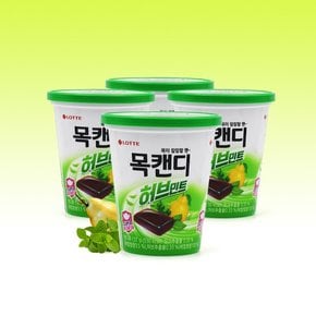 롯데제과 용기형 목캔디 허브민트 122g x 4개