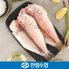 [9/11 오전8시 결제 건까지 명절전배송][제주 한림수협] 제주직송 제주 특 옥돔 6마리 세트 (옥돔 280g x 6팩)