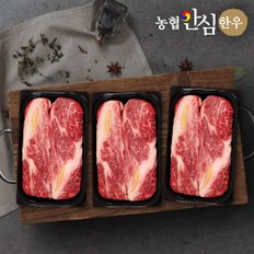 [농협안심한우] 1등급 구이채반 1호 선물세트 1kg (등심 1kg)