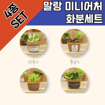 제이큐 DIY 만들기 집 말랑 하우스 화분 미니어쳐 4종세트 X ( 2매입 )