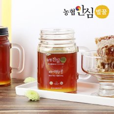 [바로배송][농협안심벌꿀] 야생화 꿀 500g x 3병