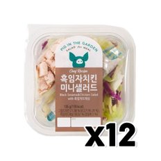 피그인더가든 흑임자치킨 미니샐러드 간편식 135g x 12개