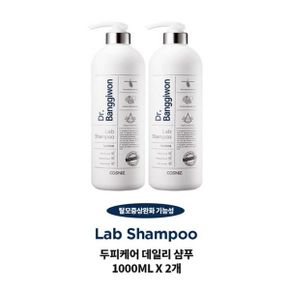 DR방기원 두피케어 데일리 랩 샴푸 1000ml x 2개 두피마사지