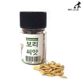 힐링타임 20g 고양이 보리씨앗 영양제