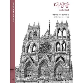 데이비드 매콜리 건축 이야기 : 대성당 : 아름다운 고딕 성당의 건축