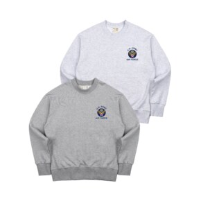 V2.NTM-U.S. ARMY AIR FORCE SWEAT SHIRT