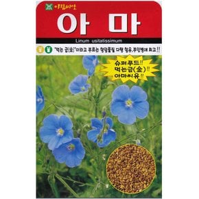 아마씨앗 300립 아마씨 종자